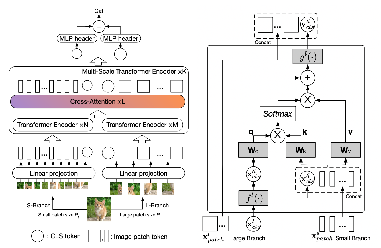 CrossViT architecture