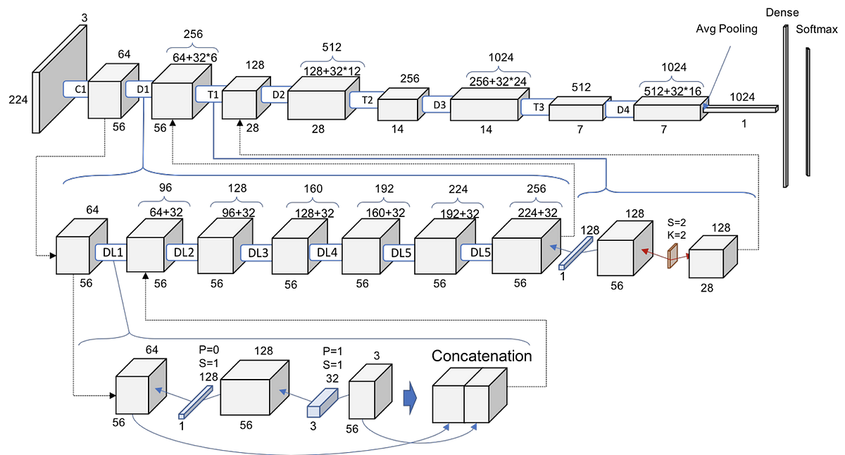 DenseNet architecture