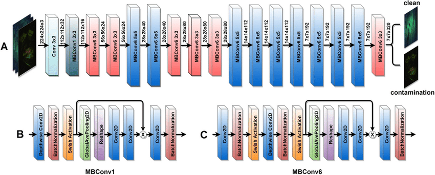 EfficientNet architecture