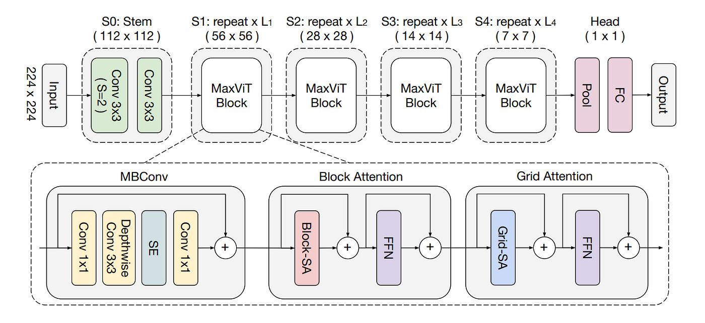 MaxViT architecture