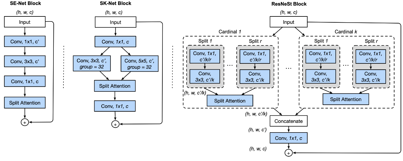 ResNeSt architecture