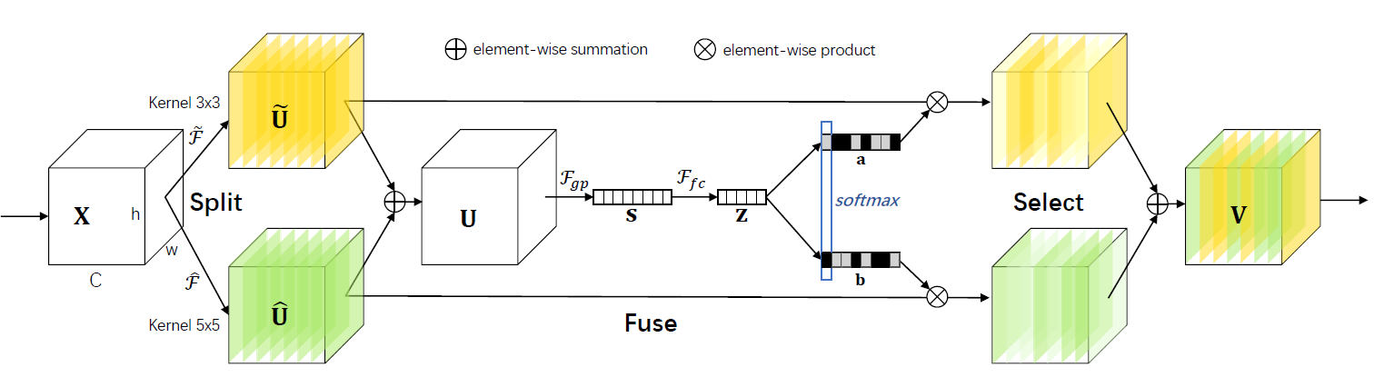SKNet architecture