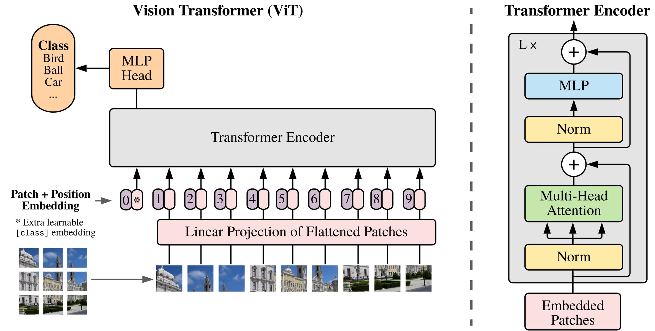 ViT architecture